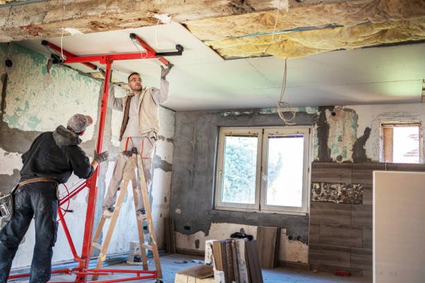 Best Insulation Contractors for Homes  in Little Falls, NY