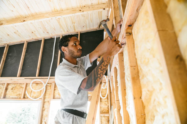 Best Insulation Removal  in Little Falls, NY