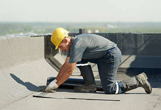Best Fiberglass Insulation  in Little Falls, NY