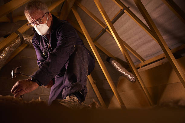 Best Insulation Contractor Near Me  in Little Falls, NY